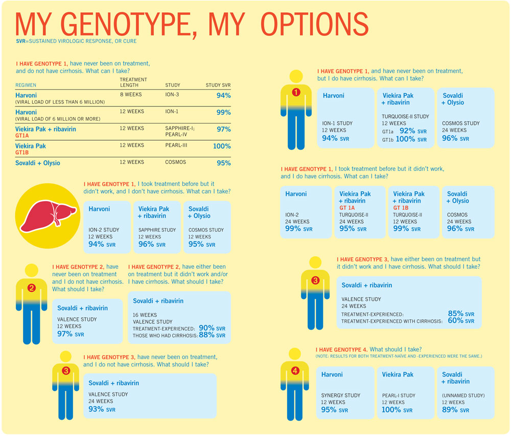 Blood Type Chart And Information On Blood Group Types