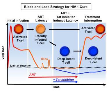 Block-and-lock strategy for an HIV-1 cure
