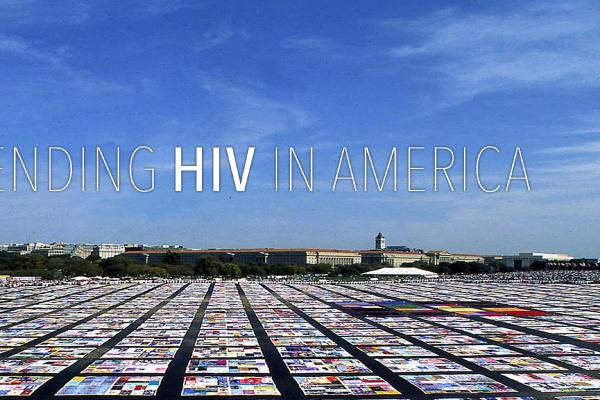 picture of the AIDS Quilt on display at the National Mall in Washington, D.C.